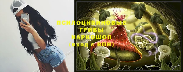 гашик Алексеевка