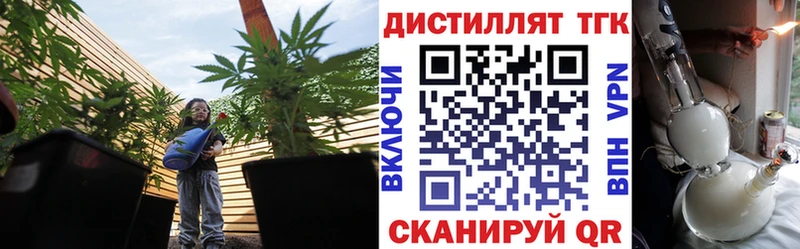 купить наркотик  Петушки  ТГК концентрат 