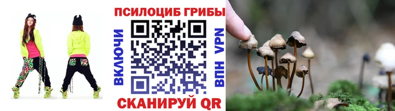 купить наркотики цена  Петушки  Псилоцибиновые грибы GOLDEN TEACHER 
